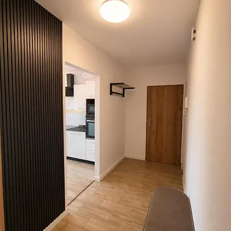 Apartment Mlynska Poznan